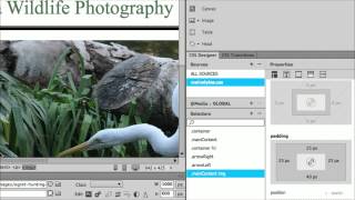 How to Add Padding to an Image in Dreamweaver [upl. by Ballard]