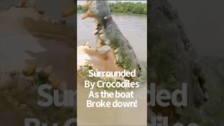 Surrounded by CROCODILES as our boat broke down tshorts travel crocodiles costarica [upl. by Gnuh]