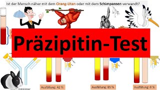 Präzipitintest zur Bestimmung stammesgeschichtlicher Verwandtschaft Biologie Evolution Oberstufe [upl. by Mungovan660]