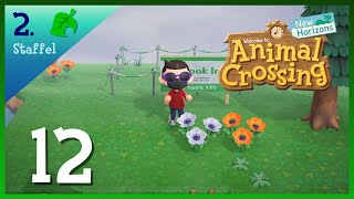 12  Ab auf die Inseln  Animal Crossing New Horizons Staffel 2 [upl. by Shum]