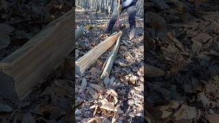 Log Splitting  Sweet Chestnut [upl. by Market]