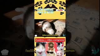 Curiosidades sobre os gatos Parte 12 gato gatos gatinhos gatosengraçados gatosfofinhos animal [upl. by Breskin218]