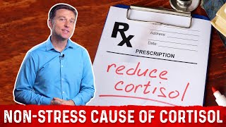 The NonStress Cause of High Cortisol – Dr Berg [upl. by Alehtse917]