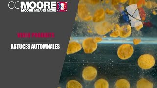 ASTUCES AUTOMNALES  CCMOORE FRANCE [upl. by Aihsram]