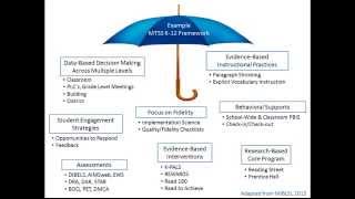 Critical Features of MTSS [upl. by Pickett]