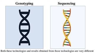 Genotyping by Sequencing [upl. by Murage]