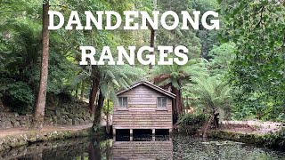 6 Best FREE things to do in the Dandenong Ranges [upl. by Divine]