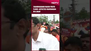 Andhra Pradesh Rain  Chandrababu Naidu Visits FloodAffected Vijayawada In A Boat [upl. by Mihe]