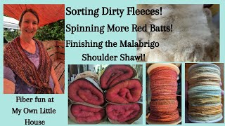 Sorting Fleeces and Spinning Batts [upl. by Inessa146]