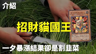 遊戲王  一夕暴漲結果卻是割韭菜 招財貓國王 Neko Mane King [upl. by Akahc]