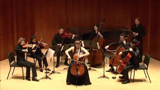 Arvo Part  Fratres  for cello and chamber orchestra [upl. by Aivalf]