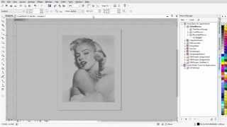 Halftone RIP Software Custom Dot Gain Compensation for Screen Printing [upl. by Odlanier]