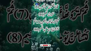 Surah Takasur recitation Holy Quran shortsfeed [upl. by Acima565]