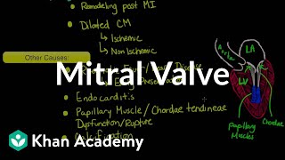 Mitral valve regurgitation and mitral valve prolapse  NCLEXRN  Khan Academy [upl. by Sardella]