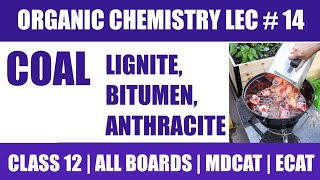 LIGNITE BITUMEN ANTHRACITE COAL FORMATION  ORGANIC CHEMISTRY FROM ZERO  EASY EXPLAINED  1112 [upl. by Rhine]