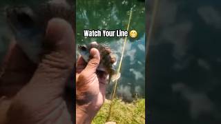 Watch Your Fly Line Its a Strike Indicator Too 💥 fishing flyfishing tips [upl. by Hsotnas]