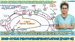 Photosynthesis in Higher Plants Lec 10 NonCyclic PhotophosphorylationII Class 11 NEET Harishu [upl. by Htebsil]