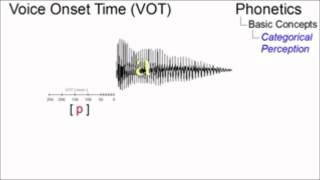 CATEGORICAL PERCEPTION THEORY [upl. by Rhianon]