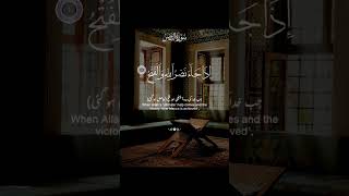 SURAHNASR PEACEFUL RECITATION OF HOLY QURAN 💓 Drzakirchannel ytshorts islam yt tilawat [upl. by Toy]