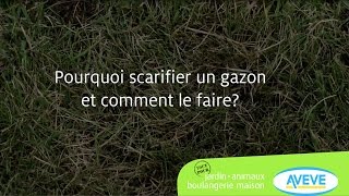 Pourquoi scarifier un gazon et comment le faire [upl. by Imar]