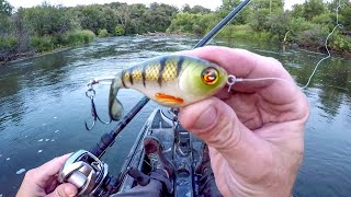 Explosive Action With The Whopper Plopper [upl. by Arej]