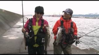 COREMAN lures CORE Vol5  Saltwater Fishing JAPAN [upl. by Kryska]