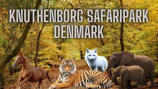 Knuthenborg Safaripark Denmark [upl. by Leummas]