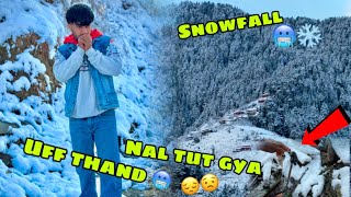 December ka snowfall🥶surajmukhi🌻tut gya😔snow shimla himachalpardesh youtube vlog [upl. by Earley]