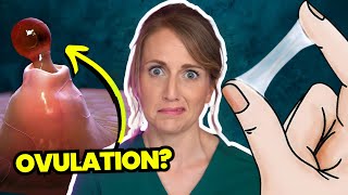 Doctor Answers Top 5 Ovulation Questions  Are you even ovulating [upl. by Thom]