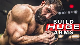 How To Get BIG ARMS FAST With Dumbbells Sets amp Reps [upl. by Twila]