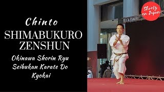 Shimabukuro Zenshun  Okinawa Karate Dai Enbukai Tokyo 2019  Chinto [upl. by Demmahum]