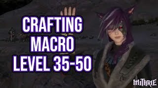 FFXIV 241 0449 Crafting Macro Level 3550 80 Dur 60 Sec Guide [upl. by Cudlip]