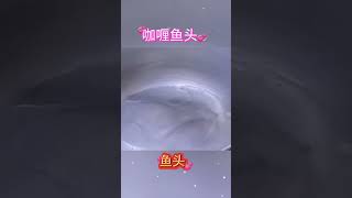 水煮蛋咖喱鱼头煮法特简单，可以说10岁小孩都会煮 food shorts 咖喱鱼头 美食 [upl. by Niajneb]