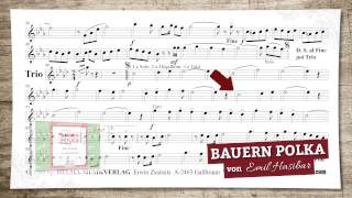 Bauern Polka [upl. by Ddarb]