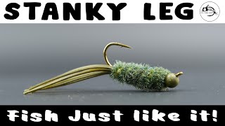 A Simple Fly Pattern That Crushes Fish  The Stanky Leg  Fly Tying Tutorial [upl. by Sherline]