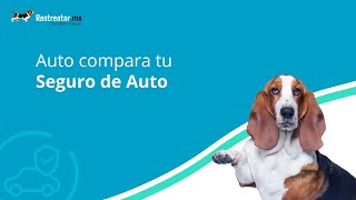 Auto compara tu Seguro de Auto  Rastreatormx® [upl. by Aivil]