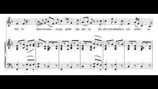 Deh vieni non tardar Le Nozze di Figaro  WA Mozart Score Animation [upl. by Nylsaj]