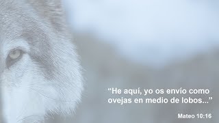 quot He aquí yo os envío como a ovejas en medio de lobosquot [upl. by Okir]