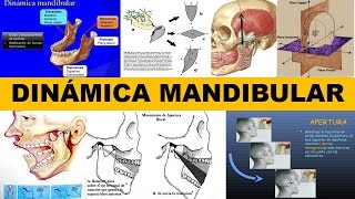 quotDINÁMICA MANDIBULARquot por el Dr Hugo Pérez Suasnabar [upl. by Annua]