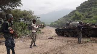 Tigray Defense Forces TDF  ናይ ትግራይ ፍሉይ ሃይሊ ታንኪ ክማርኩ ከለዉ [upl. by Ydnor]