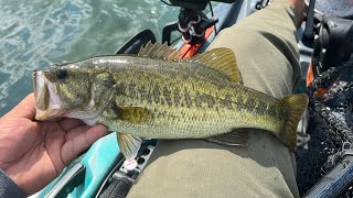 SEPTEMBER Largemouth Bass fishing Austin Texas 2023 TOP water and REACTION bites StrayCaster [upl. by Ahras]