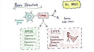 Local Anaesthetic Agents [upl. by Tteraj]