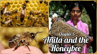 The Honeybee  Class 4 EVS ch5 Anita and the Honeybees [upl. by Lashond]