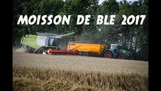 DJI PHANTOM 3 MOISSON DE BLE 2017  CLAAS LEXION 660  LESAGRIS80 [upl. by Jaf]