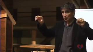 Brain Development amp Addiction with Gabor Mate [upl. by Alejandro]