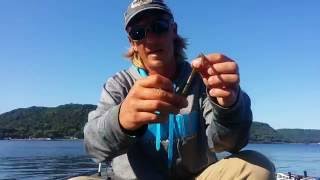 How Bassmaster pro Seth Feider rigs and fishes a Neko Rig for bass [upl. by Cletus10]