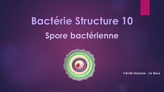 Bactérie Structure 10 SPORE BACTERIENNE sans musique de fond [upl. by Lusa]