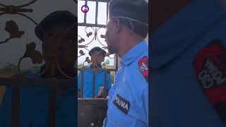 officers food  funkie pouma ft  prophetic movement comedy tv  officer woos  Brainjotter [upl. by Ruder]