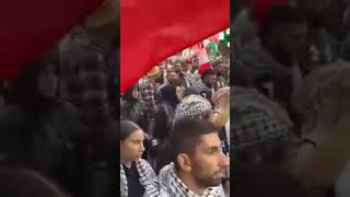 Huge turnout in the streets of Gadigal in Sydney in support of Palestine and Lebanon [upl. by Noraed162]