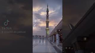 Sarkar E Madina seNaat Shareef shorts youtubeshorts shortsvideo [upl. by Flavia]